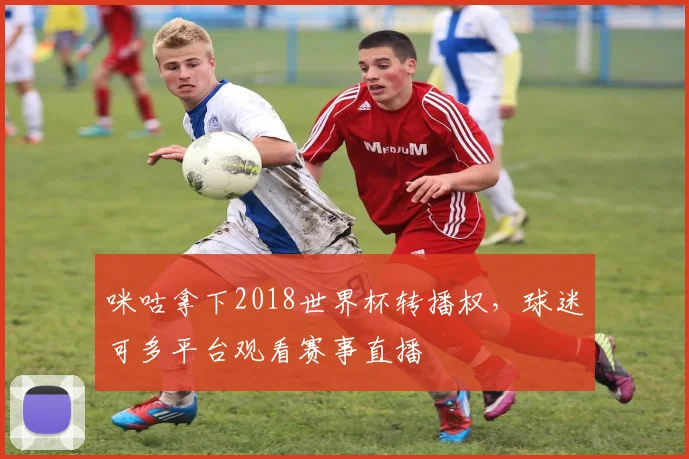 咪咕拿下2018世界杯转播权，球迷可多平台观看赛事直播