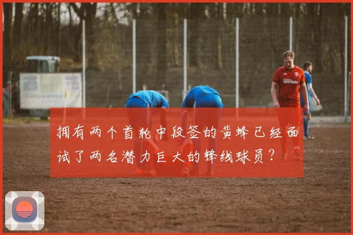 拥有两个首轮中段签的黄蜂已经面试了两名潜力巨大的锋线球员?