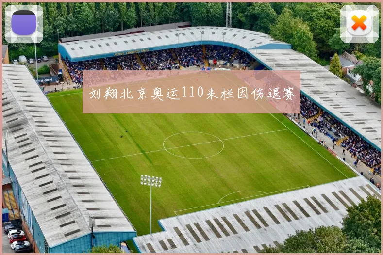 刘翔北京奥运110米栏因伤退赛